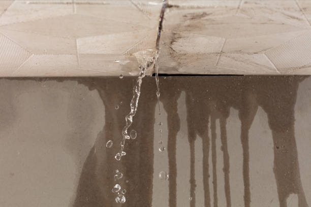 Professional Flood Damage Cleanup technician working in Tow, TX
